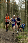 Hamsterley Forest Run